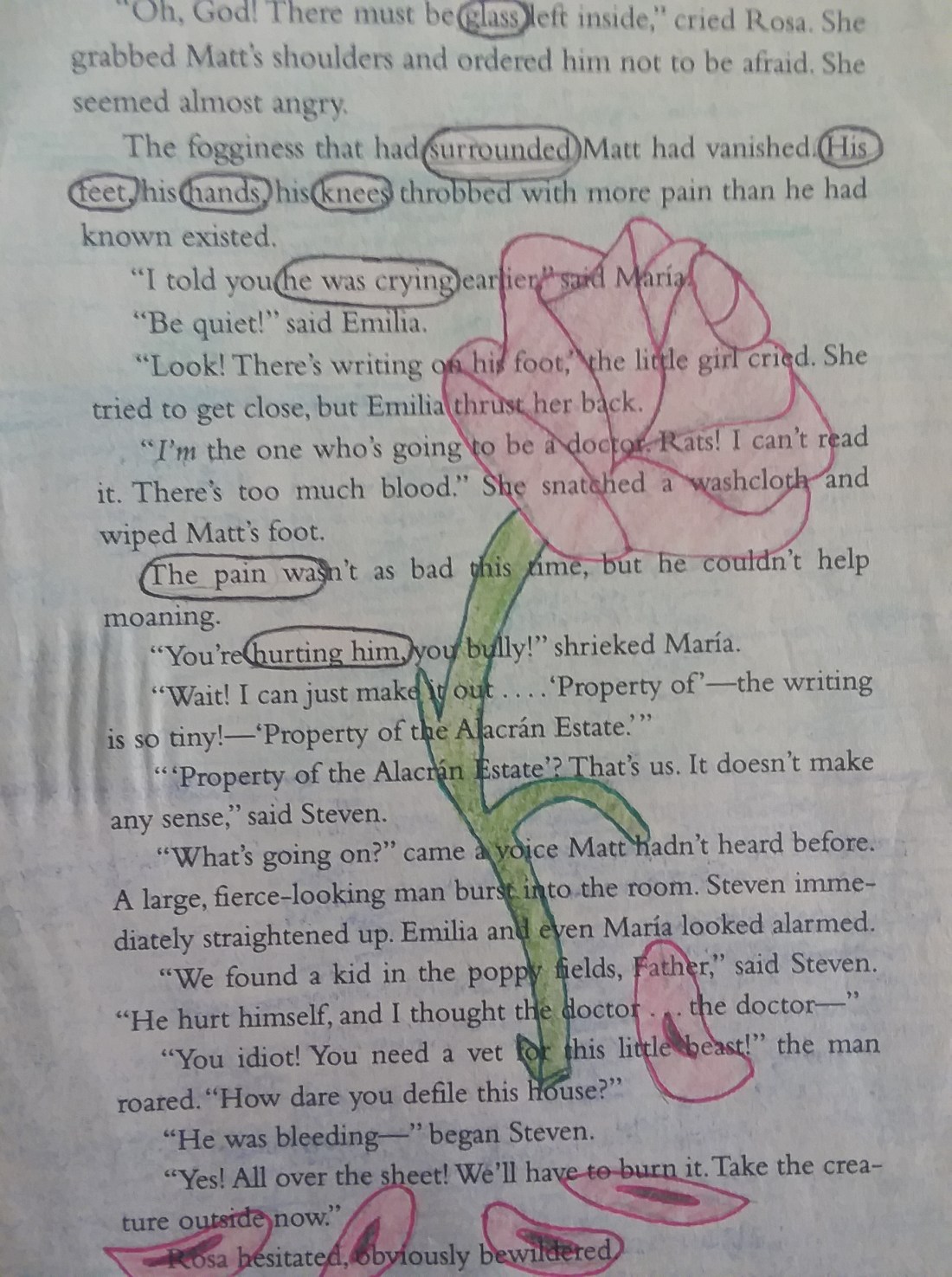 1544630067571926582045